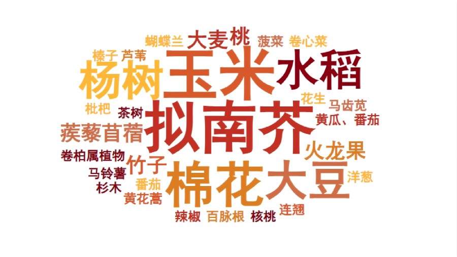 Plants with published spatial transcriptome studies(Until April 2026)