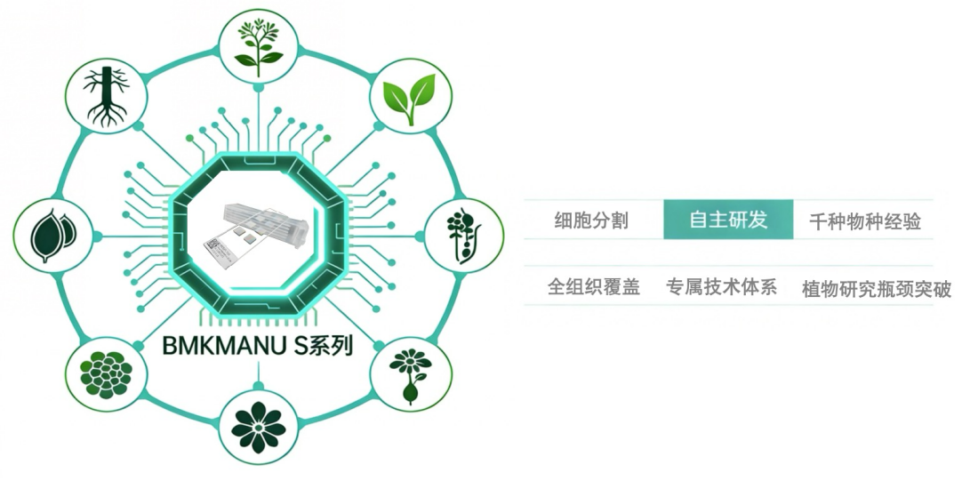 Advantages of BMKMANU S Spatial Transcriptomics