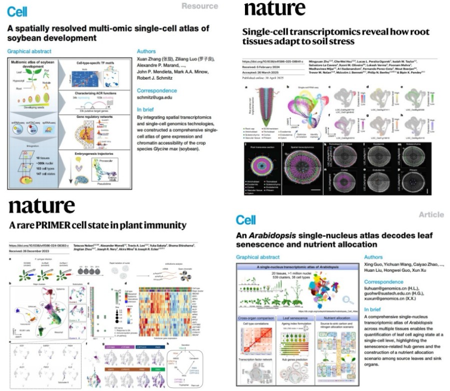 CNS Articles Published in 2025 (IF>40)
