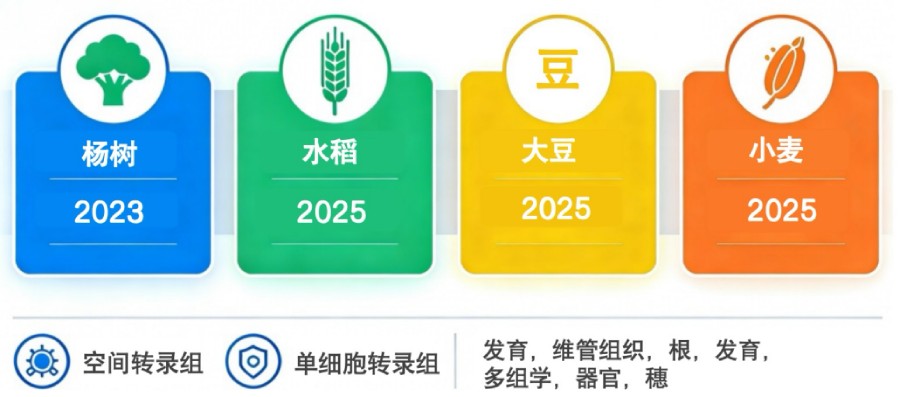 Summary of Plant Spatial Transcriptomics Research in Molecular Plants
