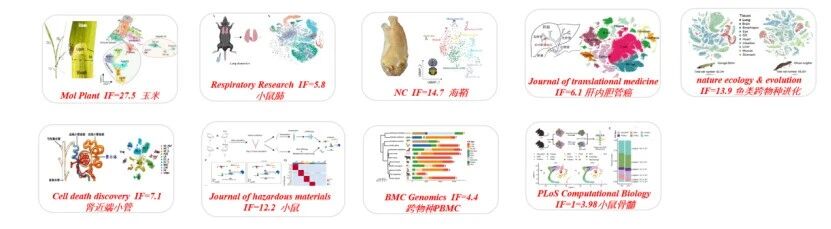 百创DG1000单细胞文库制备系统特点