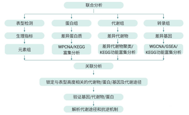 多组学联合分析技术路线