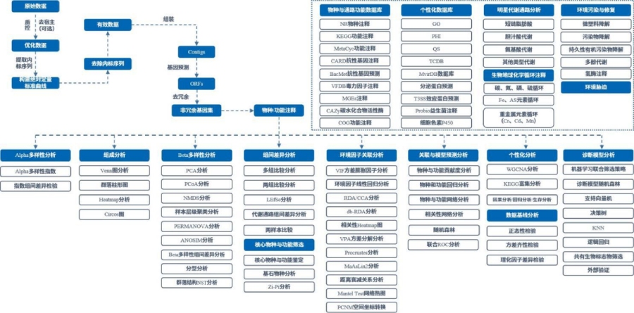 宏基因组绝对定量