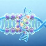Cell | 清华大学刘念教授团队攻克发育障碍超转录失控难题