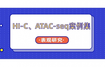 基因为什么这样表达？——Hi-C互作、ATAC-seq成功案例集锦