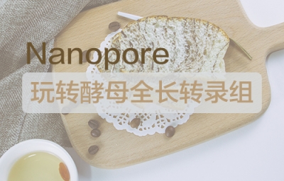 Nanopore | 玩转酵母全长转录组