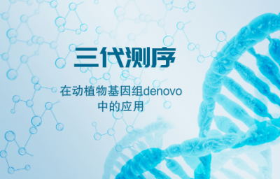 三代测序技术在动植物基因组denovo中的应用