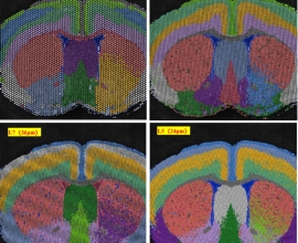 Spatial ATAC 操作指南