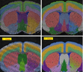 Spatial ATAC 操作指南
