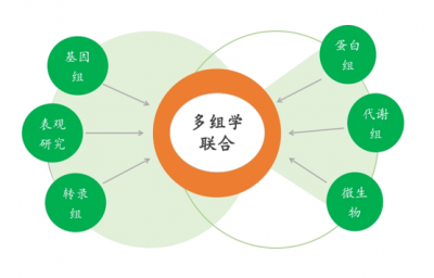 多组学联合分析到底分析些什么？ –转录组+代谢组篇