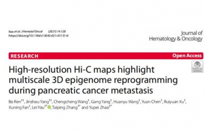 Hi-C+ATAC+Chip+RNA-seq多组学揭示胰腺癌转移过程中3D表观图谱