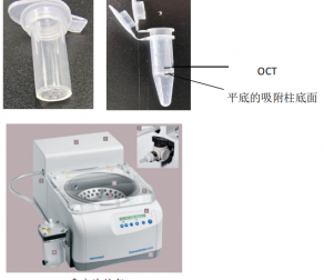 空间转录组样本制备要求