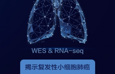 WES & RNA-seq揭示复发性小细胞肺癌化疗耐受性的分子机制
