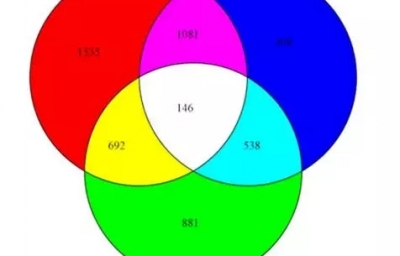 【项目文章】辣眼睛的洋葱宝宝是否有望化身甜妹子？