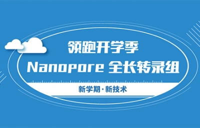 领跑开学季-Nanopore全长转录组