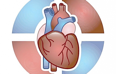 【前沿资讯】JACC  心脏植入电子装置的网络安全性，get到了吗？