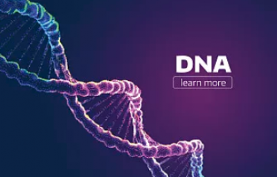 百迈客DNA提取试剂盒数据整理，文末有福利！