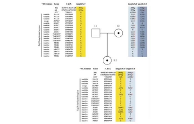 【成功案例】转录组+外显子揭示Xq28重复综合征女性患者无临床症状的原因