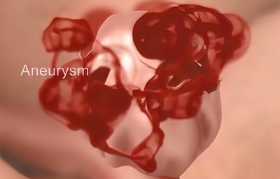 震惊，不做实验也能发国际一流期刊！