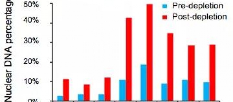 基因组survey分析 | 百迈客生物科技