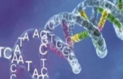 Direct RNA 测序丨我们可以做什么？