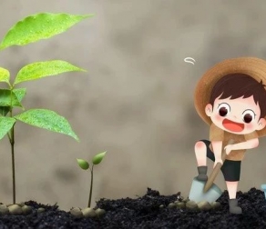 百迈客土壤微生物多样性成功案例，影响因子6.51