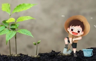 百迈客土壤微生物多样性成功案例，影响因子6.51