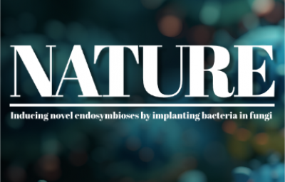 Nature | 百迈客生物助力苏黎世联邦理工学院在内共生研究中取得重大突破！