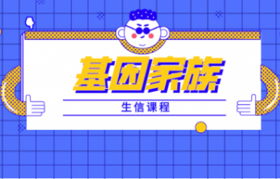 基因家族生信分析培训课程【可视化手把手实战教程】