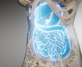 《nature medicine》IF82.9：5-ASA的肠道微生物代谢降低了其在炎症性肠病中的临床疗效