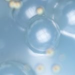 单细胞转录组测序和单细胞ONT全长转录组揭示听觉和耳聋生物学见解